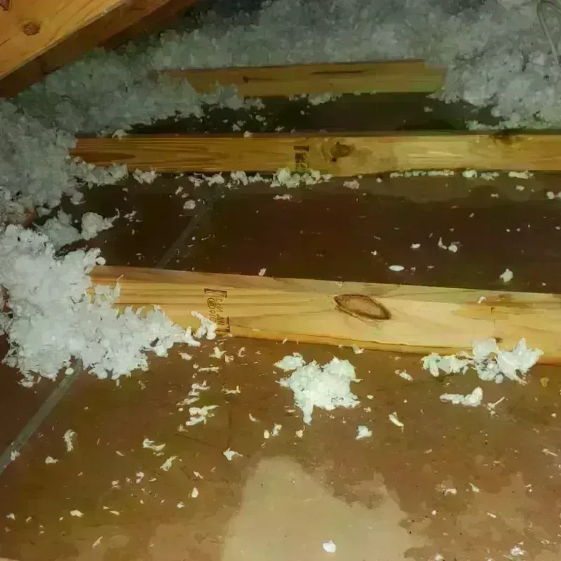 Attic Water Damage in Astoria, OR