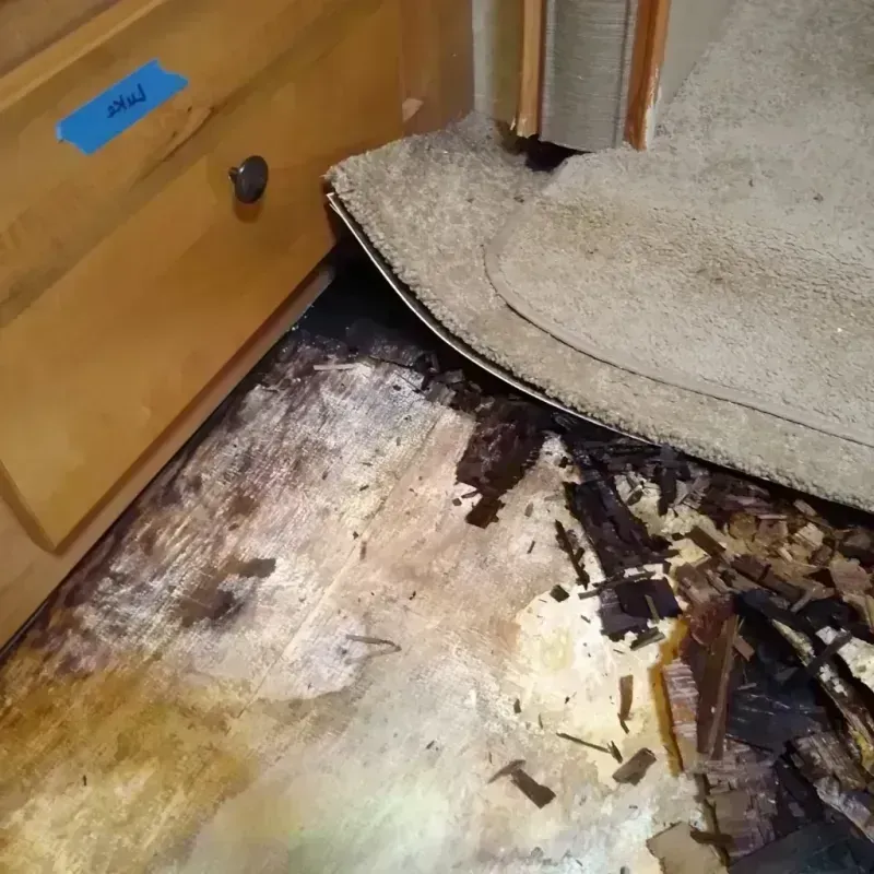 Wood Floor Water Damage in Astoria, OR